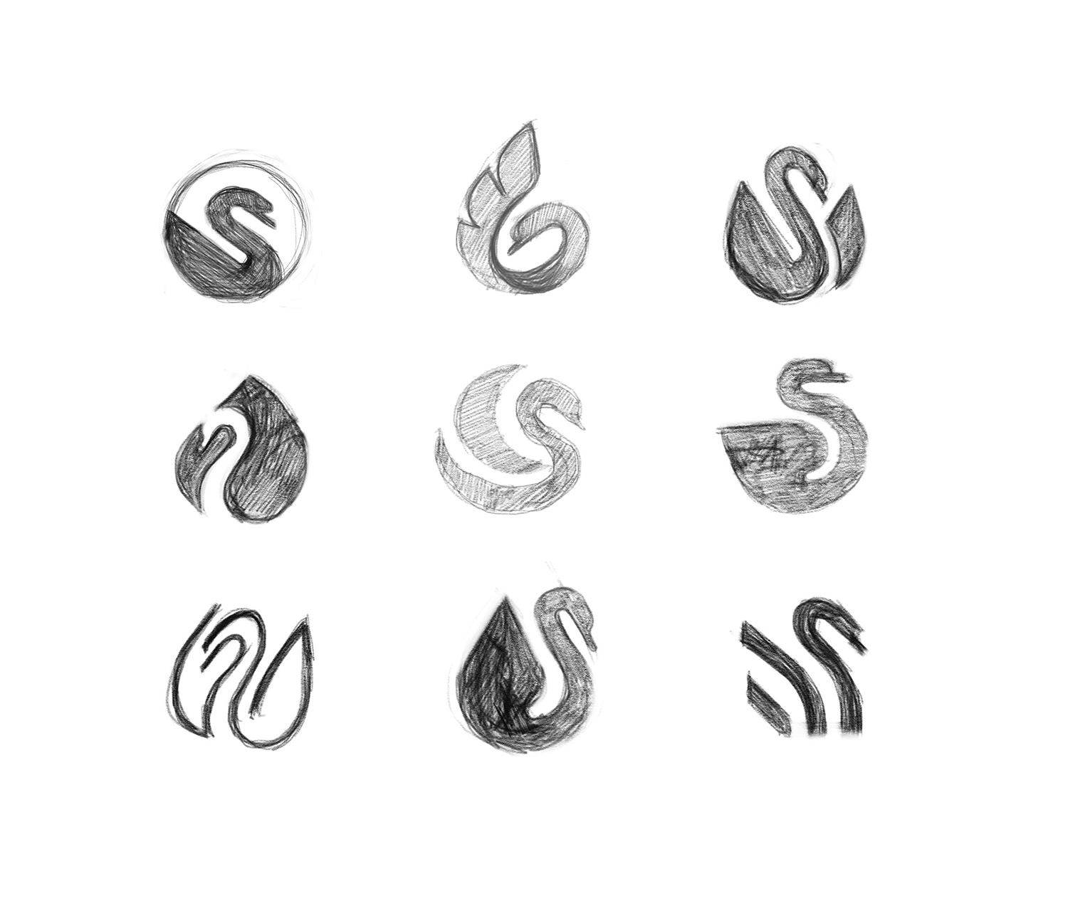 Logo 101: Cách vẽ con thiên nga (9 lần)